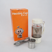 En stock, bouilloire électrique portable de 500 ml, chauffe-eau portable avec fonction de maintien au chaud, bouilloire de voyage