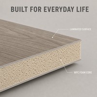 Panneau en mousse composite bois-plastique (WPC) imperméable Pluswin 5-8 mm pour meubles et armoires