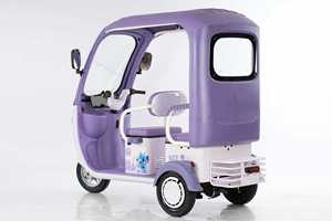 Tricycle familial avec options de couleurs personnalisables et toit - Product Image 6