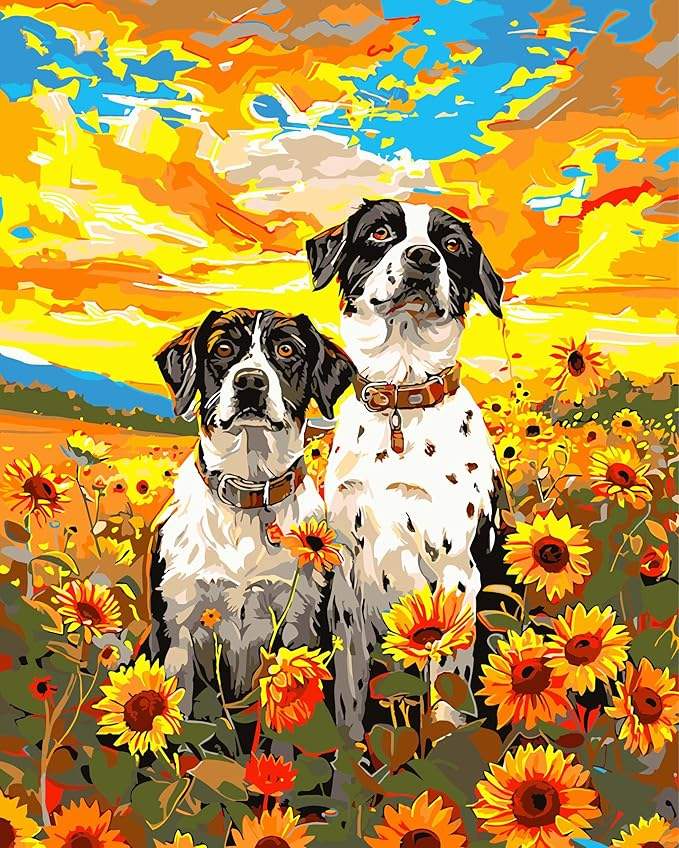 Color As Shown colorful