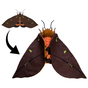 <span class=keywords><strong>Polilla</strong></span> <span class=keywords><strong>de</strong></span> <span class=keywords><strong>seda</strong></span> <span class=keywords><strong>de</strong></span> animal adorable <span class=keywords><strong>de</strong></span> peluche realista <span class=keywords><strong>de</strong></span> peluche personalizado con tentáculo largo y alas realistas para amantes <span class=keywords><strong>de</strong></span> los insectos <span class=keywords><strong>polilla</strong></span> <span class=keywords><strong>de</strong></span> <span class=keywords><strong>seda</strong></span> - Product Image 1
