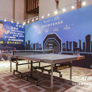 Table de tennis de table Double Fish 233 25 mm, qualité tournoi, pliable, équipement de fitness d'intérieur - Product Image 1