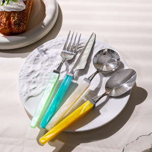 Jinhui <b>Acrylic</b> Cutlery Set Stainless Steel <b>Mirror</b> Polished Solid Color Simple Style Dinnerware Set - Product Image 2