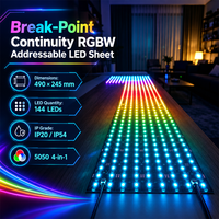 Panneau lumineux de Noël RVB adressable (SPI) SMD5050 24V 40W, installation facile, performance stable, flexible pour éclairage intérieur