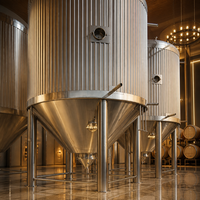 Cuve de Fermentation Conique Tonsen 5000L en SUS304 à Double Zone avec Enveloppe à Cavités et Contrôle PLC/PID pour Grandes Brasseries Artisanales