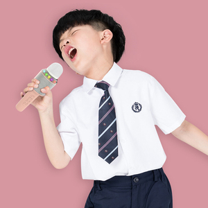 Portable Handheld Speaker Machine Blue Tooth Children <b>Microphone</b> Gold and Blue Kids <b>Wireless</b> <b>Microphone</b> for Sin - Product Image 2