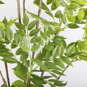 QIHAO Arbre artificiel chinois Toon, 1,5 m - 1,8 m de haut, plante décorative d'intérieur ultra-réaliste, bonsaï sur pied - Product Image 3