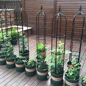 <span class=keywords><strong>Support</strong></span> de <span class=keywords><strong>plante</strong></span> multi-usages, cage à tomates, installation rapide et durable, mobilier de jardin à vendre - Product Image 6