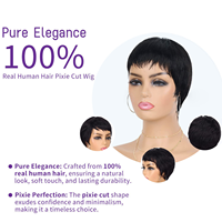 Perruque Courte Pixie à Boucles Lace Front Pré-Épilée avec Baby Hair Brésilienne – Perruque Pixie Glueless Lace Frontale en Cheveux Humains