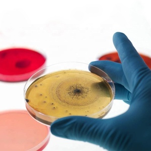 Verrerie de laboratoire plat de culture animaux plantes bactéries boro 3.3 boîte de pétri en verre de haute qualité - Product Image 2