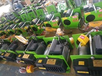 Mini palan électrique de levage du fabricant Capacité de 200kg à 1 tonne Treuil à câble de type allemand 380v/220v avec câble en acier