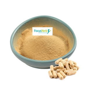 Focusherb EU&amp;USDA Grifola Frondosa <strong>Extract</strong> 30% Polysaccharide Organic Maitake <strong>Extract</strong> - Product Image 1