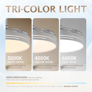 Nuevo Ventilador de Techo Retráctil Invisible de 42'' con Luz - 3 Colores Atenuables, Motor de CC de 6 Velocidades, Control Remoto y Temporizador, Blanco/Negro/Plateado - Product Image 2