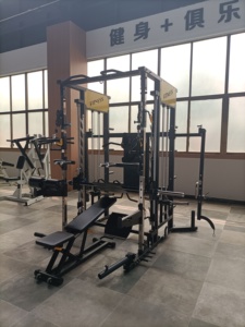 Equipo Comercial de Fitness, Máquina Multifuncional de Entrenamiento PL-08 - Product Image 2