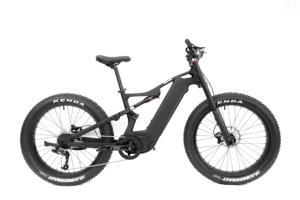 Livraison gratuite dans la région des États-Unis DENGFU EBIKE VTT E56 10S 52V <span class=keywords><strong>bafang</strong></span> M620 UART moteur - Product Image 3