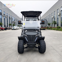 Kart à pédales tout-terrain homologué à batterie lithium, 6 places, magnifiquement conçu, voiturette de golf électrique, vente chaude