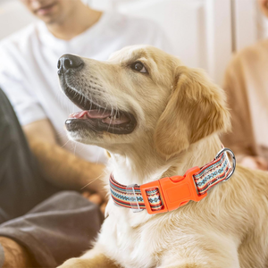 UFBemo Factory Design Adjustable Pet Supplies Color Printing Pet Supplies Dog <b>Collars</b> - Product Image 5