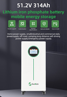 Batterie LiFePO4 16 kWh 51,2 V 314 Ah avec BMS intelligent, compatible parallèle, pour stockage d'énergie, compatible avec les onduleurs Deye et Growatt
