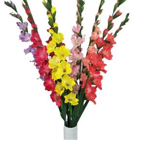 ผู้ผลิตจัดหากล้วยไม้ประดิษฐ์พืชปลอมและดอกไม้ตกแต่งสำหรับงานแต่งงานห้องนั่งเล่น - Product Image 6