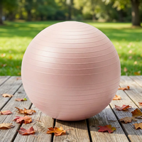 Lot de 40 ballons de yoga de luxe de 55 cm, anti-éclatement, souples, antidérapants, en PVC épaissi, écologiques, légers, pour l'entraînement et l'équilibre