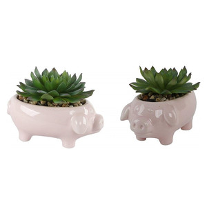 Artificial <span class=keywords><strong>suculenta</strong></span> olla en <span class=keywords><strong>rosa</strong></span> cerdo de cerámica jardinera olla Animal lindo novedad maceta jardinera Set de 2 - Product Image 1