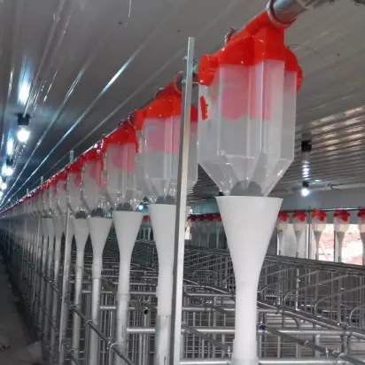Plastic Drop Feeder for Pig/Swine Farm used in Automatic Feeding System High Quality