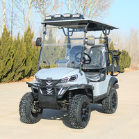 Voiturette de golf certifiée CE, nouveau design, batterie lithium 60V 72V, électrique, 2, 4, 6, 8, 10 places, tout-terrain, avec boîte de rangement