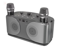Enceinte Karaoké avec Micro et Bluetooth 20W, Haut-parleur Portable Sans Fil Son HIFI, Boîte Subwoofer Karaoké pour Fêtes en Famille en Extérieur 922