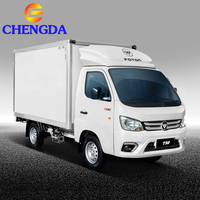 Camioneta Foton TM 4X2 Diésel con Volante a la Izquierda, Euro2, Transmisión Manual, Mini Camper Van, Camión de Carga Ligera, Camión Faw