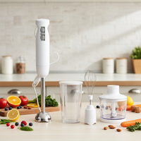 Mixeur Plongeant Multifonctionnel de Haute Qualité pour Cuisine, Ensemble Mixeur et Broyeur Manuel pour Fruits