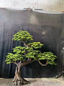 Árbol de <span class=keywords><strong>Pino</strong></span> Artificial Grande para Interiores, Hecho a Mano con Tronco de Madera, Bonsái Artificial para Decoración de Paisajismo del Hogar - Product Image 6