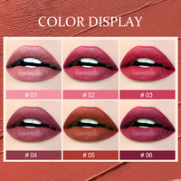 Rouge à lèvres mat longue tenue, non-collant, imperméable, certifié HALAL, végétalien, personnalisé avec votre logo, fabriqué en Chine, lot de 6 gloss à lèvres