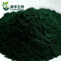Chlorophylline de sodium-cuivre soluble dans l'eau de haute qualité pour la vente en gros