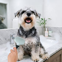 Kit de toilettage pour animaux de compagnie 8 en 1 avec logo personnalisé : peigne, brosse, coupe-ongles, bol pliable, brosse à dents pour chat et chien