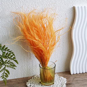 MC Wholesale Forever Floral Supply Soft Wispy Stipa Pennata Dry Wispy Feather Grass Stipa naturel séché - Product Image 4