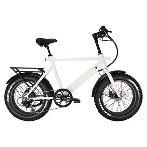Vélo électrique pliable à pneus larges de 20 pouces, 20x4.0, en alliage de magnésium, 500W, couple élevé, tout-terrain, fabrication OEM - Product Image 6