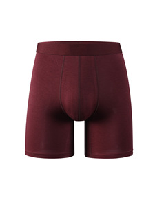 Nouveau Style 2026 : Caleçons Séchage Rapide et Respirants, Boxers Moulants de Sport en Bambou, <span class=keywords><strong>Sous</strong></span>-vêtements de Marque Grande Taille pour Homme - Product Image 6