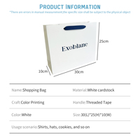 Sacs à provisions en papier de luxe personnalisés avec logo, sacs cadeaux avec poignées en corde, impression de logo, emballage de vente au détail