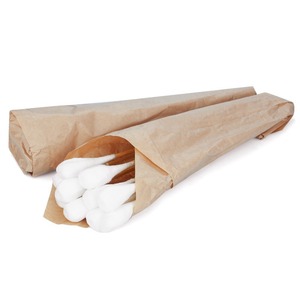 Hisopos de Algodón con Cabeza Grande Esterilizados con Ozono Médico, 25 cm, 100 Unidades en Bolsa de Papel, Certificación YY300 Clase I, Marca JIAMAILUN, Modelo JML-03 - Product Image 1