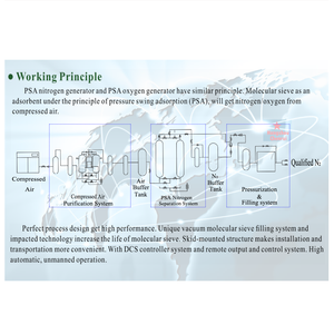 Équipement automatique de génération de gaz de générateur d'azote PSA à haute pression pour une production efficace d'azote - Product Image 5