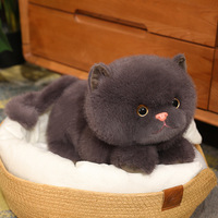 Peluche chaton mignon simulé, jouet en tissu doux pour filles et garçons, en coton PP lavé, design ODM, idéal pour soulager le stress