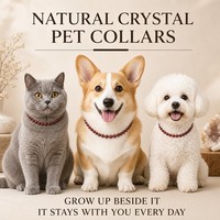 Collier pour chien en perles de cristal multicolores faites à la main, accessoire pour animal de compagnie personnalisé