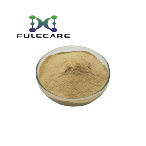 天然ハーブ<span class=keywords><strong>Epilobium</strong></span> <span class=keywords><strong>Parviflorum</strong></span>サプリメント粉末<span class=keywords><strong>Epilobium</strong></span> <span class=keywords><strong>Parviflorum</strong></span>エキス - Product Image 2