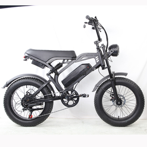 Bicicletas Eléctricas de Alto Rendimiento con Batería de Iones de Litio de 48V 500w 750w, Autonomía de 60 km, Modelo FW-F02 - Product Image 4
