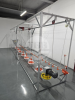 Système d'élevage au sol automatique pour poulets de chair, équipement d'alimentation avicole, ligne d'abreuvement, installation de mangeoires et abreuvoirs pour poulets de ferme