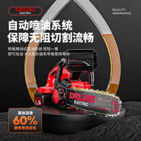 Scie à chaîne sans balais rechargeable à batterie lithium Delixi Electric SK5 21V 2000W Moteur 30cc Barre de guidage 22 pouces Garantie 1 an