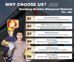 Water-Based JS <b>Polymer</b> Cement Waterproof Coating for Building Exterior Interior Use Warehouse Park Tile Kitchen Wall - Product Image 5
