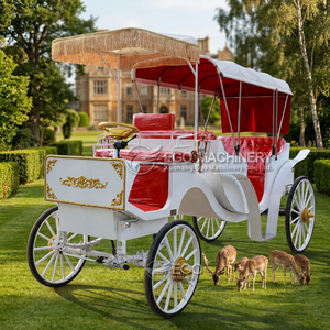 Charrette royale vintage pour mariage, chariot de tourisme électrique sans chevaux, charrette de tourisme blanche sans chevaux - Product Image 3
