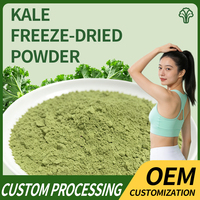 Polvo de Kale Liofilizado Orgánico de Venta Caliente en Lata/Tambor, Superalimento Totalmente Natural que te Ayuda a Perder Peso, Aumenta la Energía y Promueve una Vida Saludable