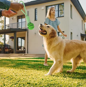 Köpek römorkör-of-war halat çiğnemek oyuncak, halat çekme oyuncak, kapalı ve açık Pet oyuncak - Product Image 6